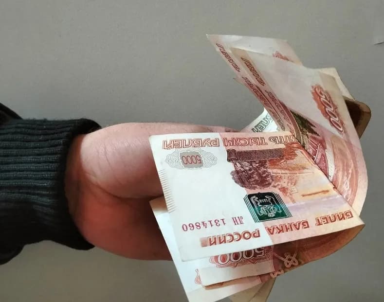 Задержаны курьеры мошенников, оставивших рязанскую пенсионерку без квартиры